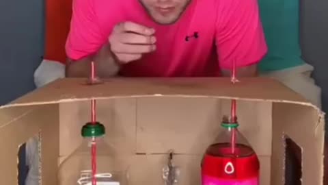Olive Oil or Pink Crush