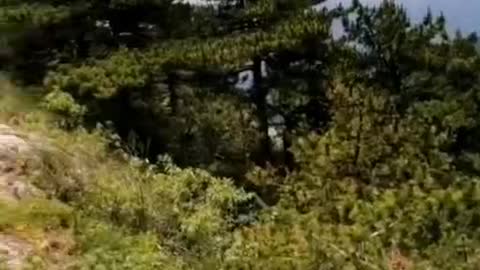 The secrets of nature