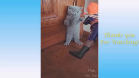 Cutest Cat panic so hard
