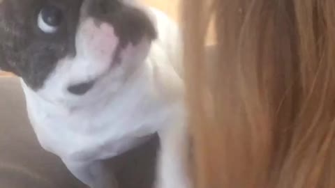 Dog knows the importance of taking a break