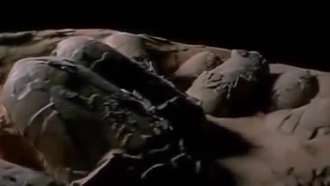 National geographic Dinosaur Documentary New Documentary HD
