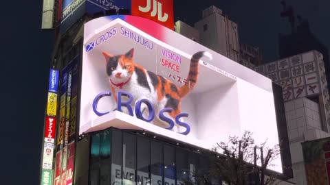 Amazing 3D outdoor in Tokyo