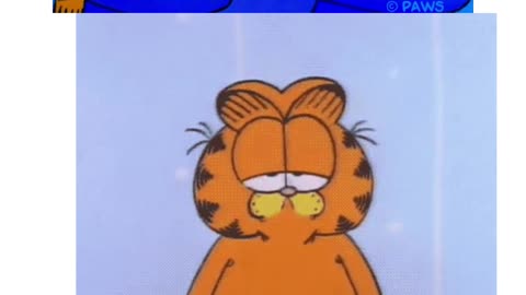 o show do garfield (3).mp4
