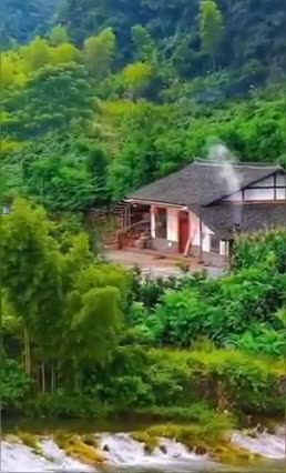 Nature Video Clips # - 08