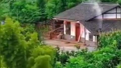 Nature Video Clips # - 08