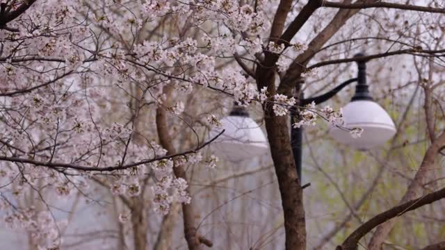 Life is very simple, after today is tomorrow.