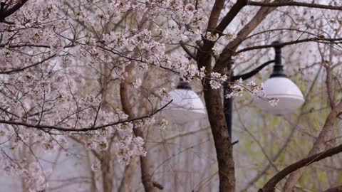 Life is very simple, after today is tomorrow.