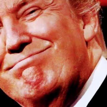 Donald Trump Memes Today