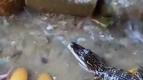 Oddly Satisfying video #shorts