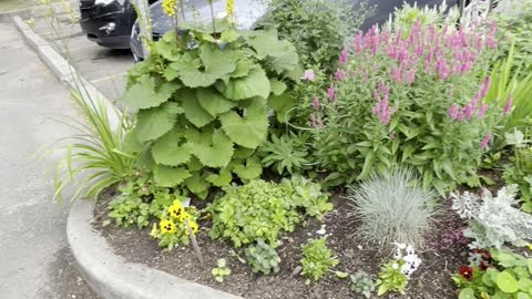 Beautiful flowers in entrance of seniors house