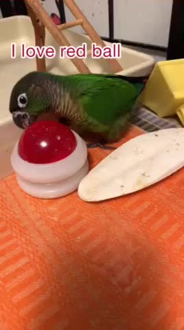 Watch Video Tell Story