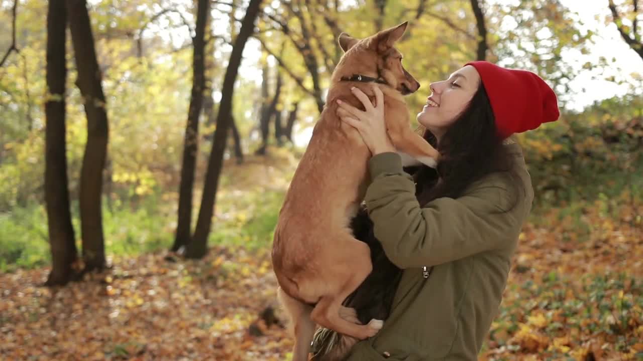 Beautiful hipster girl holding dog in autumn park