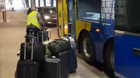 American Bus