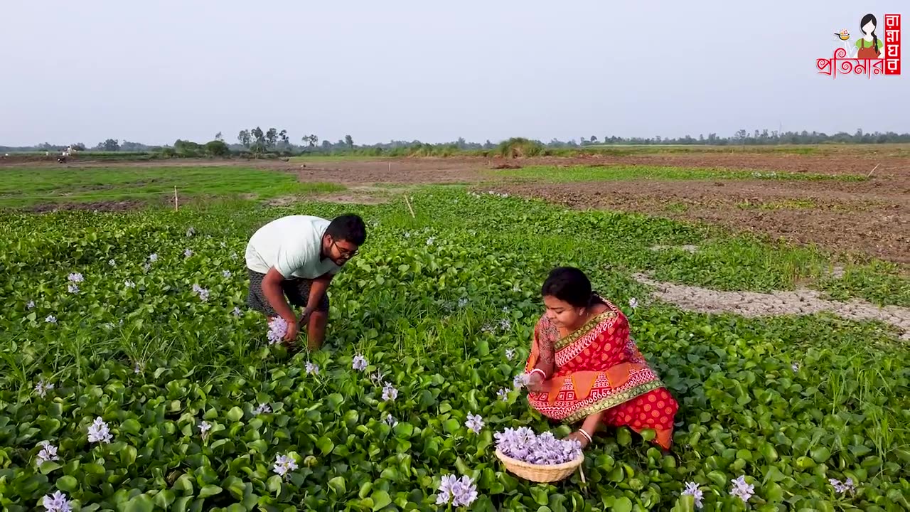 Water Hyacinth Recipe