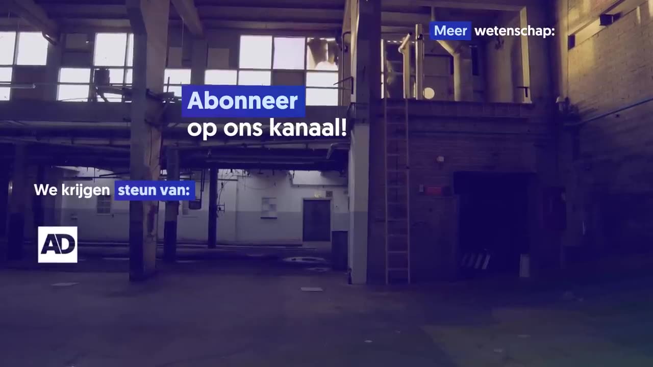 Hoe is het conflict tussen Israëliërs en Palestijnen ontstaan?