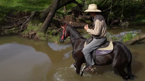 A horse is a good friend in difficult situations