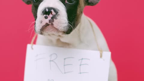 Free Kissess
