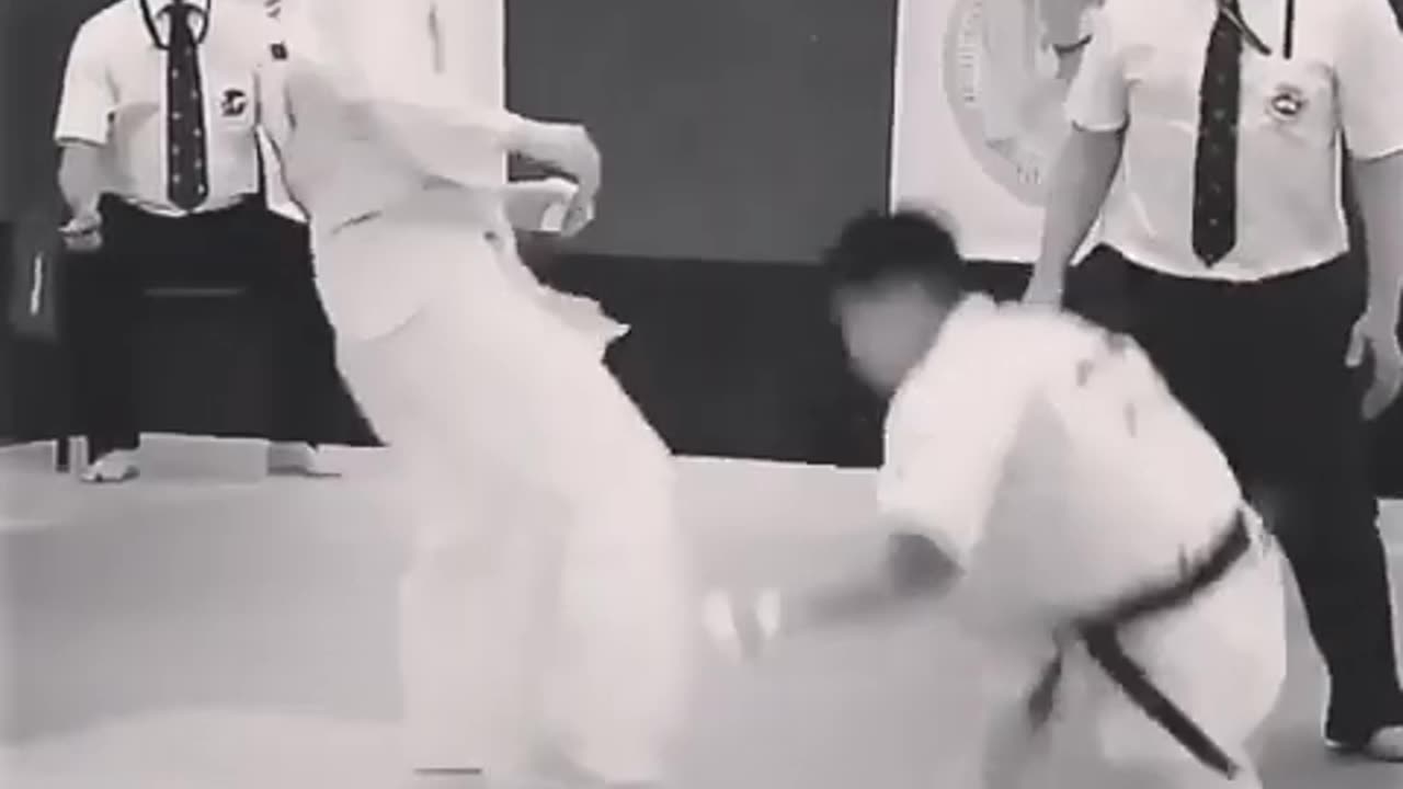 Kyokushin karate knockouts