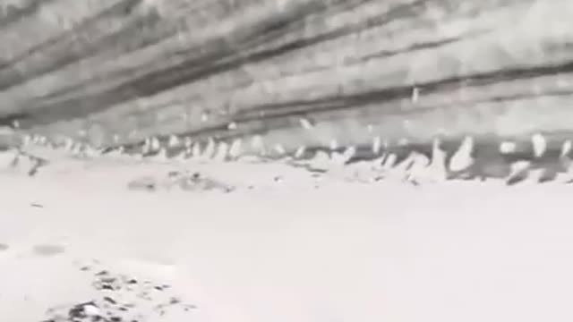 Antarctica! This is Amazing, what's in there? What's your guess?