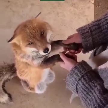 Funnymind😂😂😂😂😂😂😂