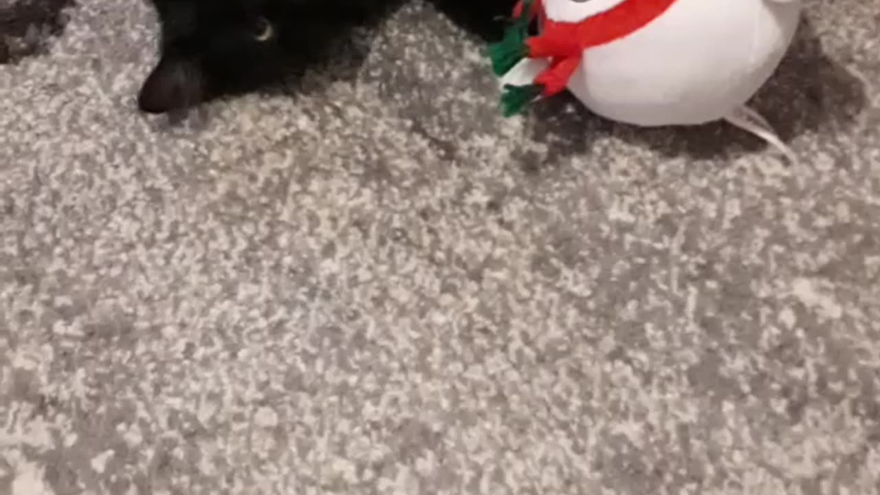 Plush snowman is my kitten's favorite toy!