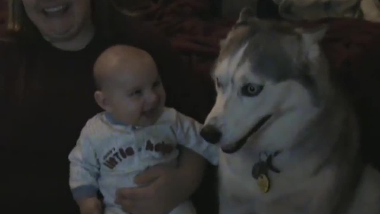 Dog makes baby laugh