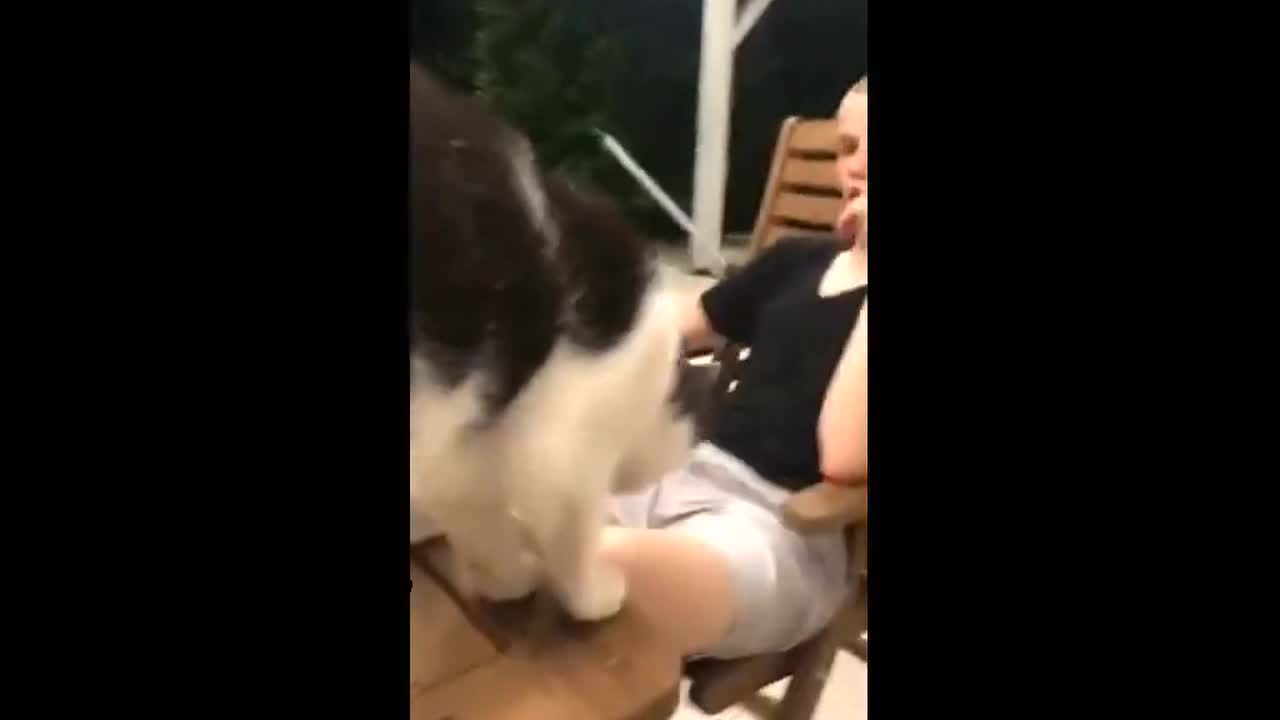 Suspicious cat lurks on table and tries to bite guys thigh