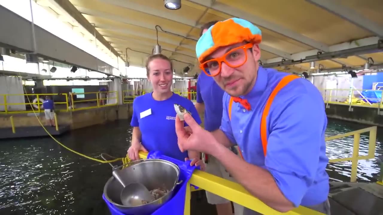 Blippi Visits an Aquarium - Sing With Blippi - Blippi - Kids Songs - Moonbug Kids