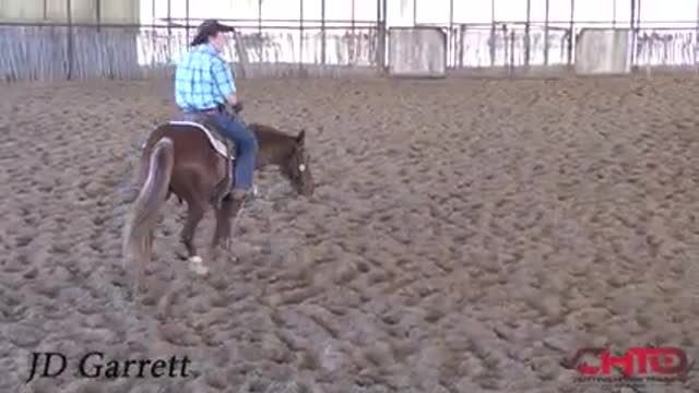 Horse training