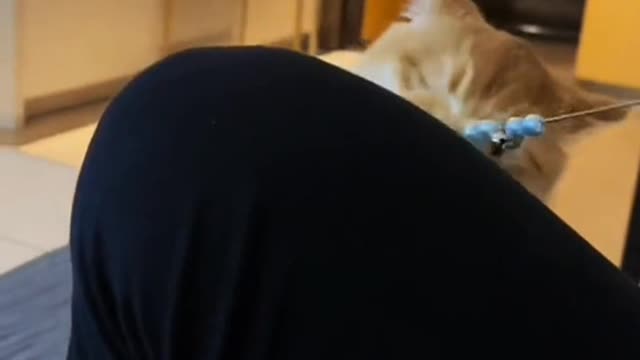 watch TV