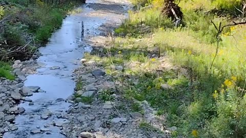 Creeks, Rivers and Babbling Brooks I Crossed in NY While WalkinAndTalkinAcrossAmerica!