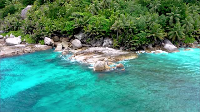 nature Drone Footage - Bird's Eye View