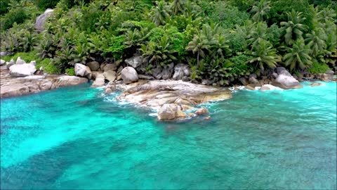 nature Drone Footage - Bird's Eye View