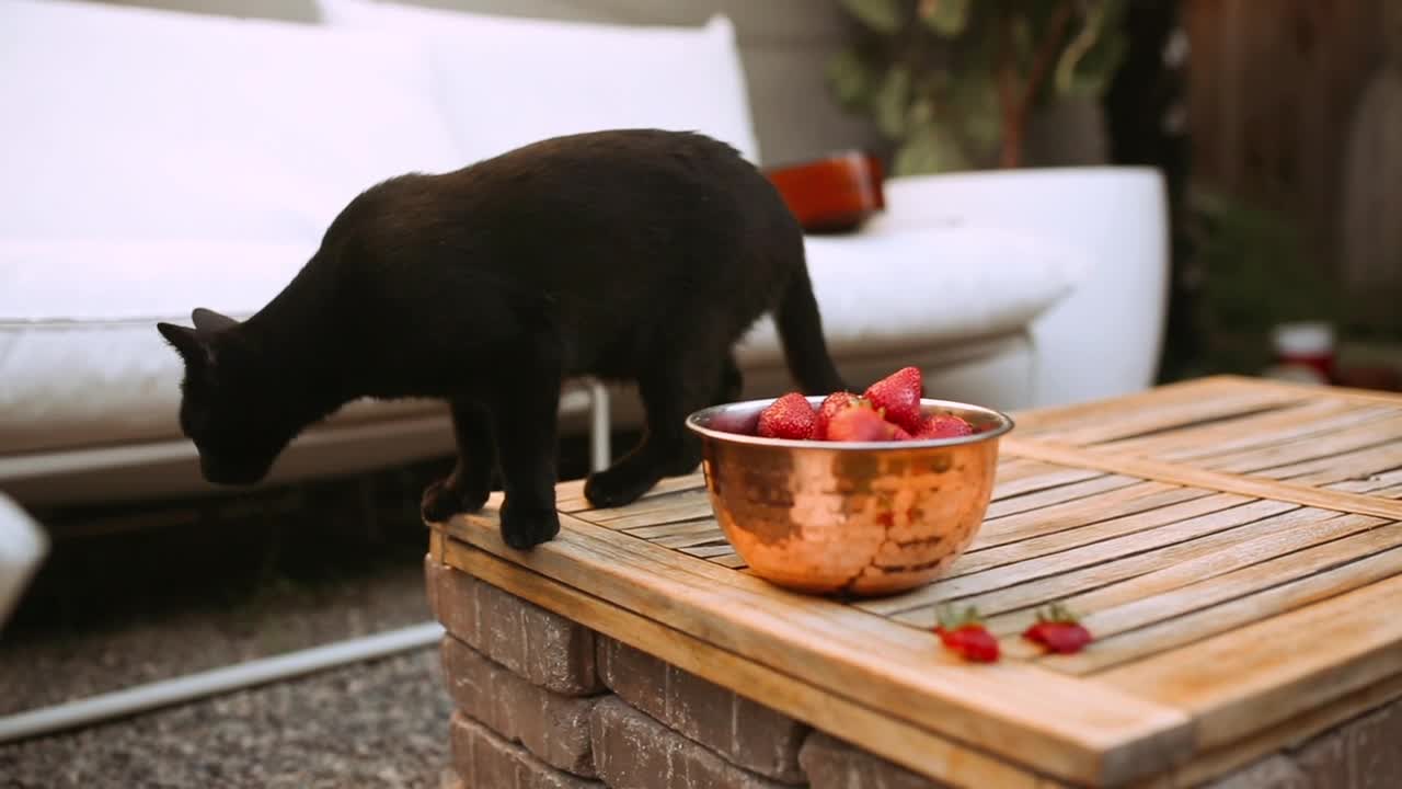 Black Cat on Wooden Table Near Bowl of Strawberries