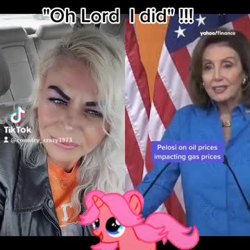 The principal Nancy pelosi explains it All