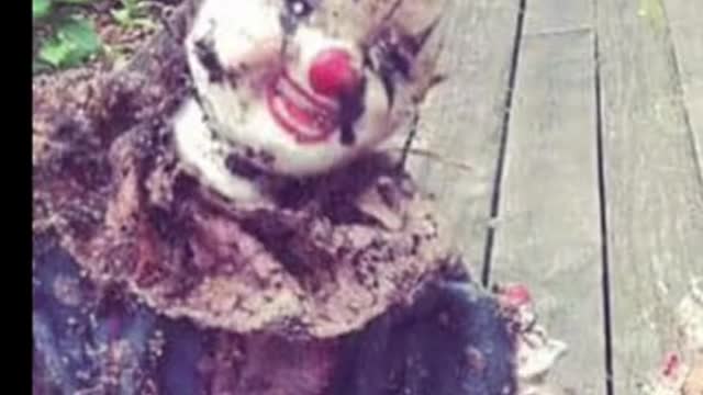 Creepy things found in peoples houses
