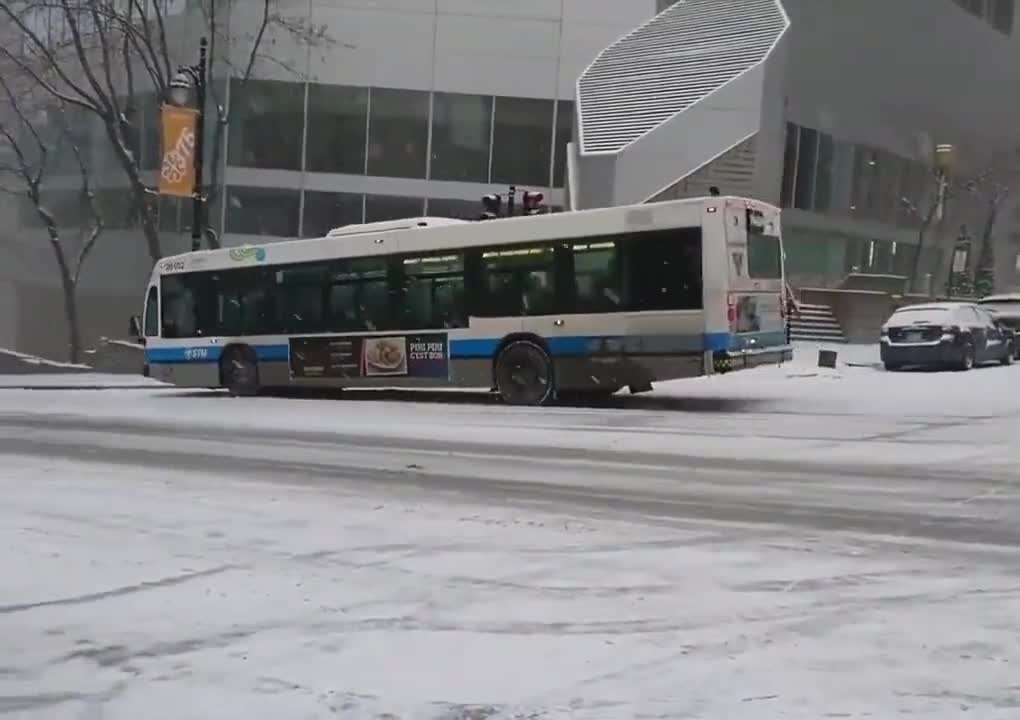 Winter has arrived "This is a Must Watch