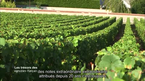 Les trésors des vignobles français41