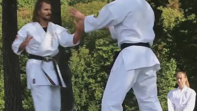 Comparison of kung fu vs karate