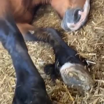 She wouldn't stop fartin that's on eating too much 🤣