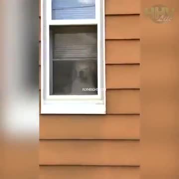 Nobody Is Robbing This House Anytime Soon!