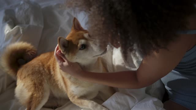 Girl Playing and adoring cute dog