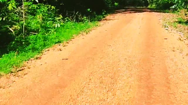 Moto = Liberdade - Motorbike = Freedom