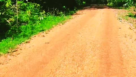 Moto = Liberdade - Motorbike = Freedom