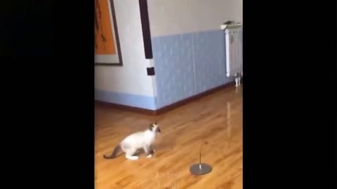 Catch me if you can!!!