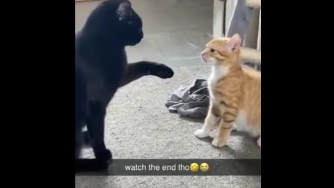 If you get distracted for a second, you lose the fight