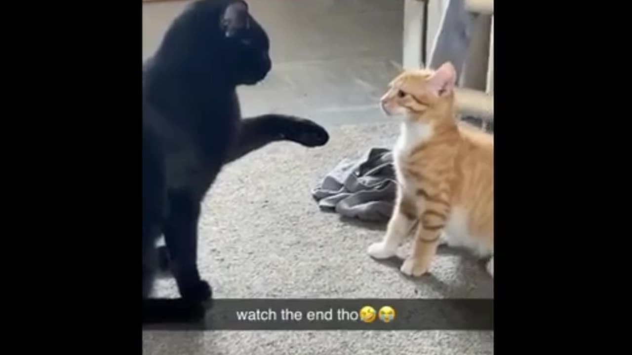 If you get distracted for a second, you lose the fight