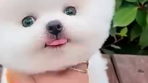 Cute 😍 💖