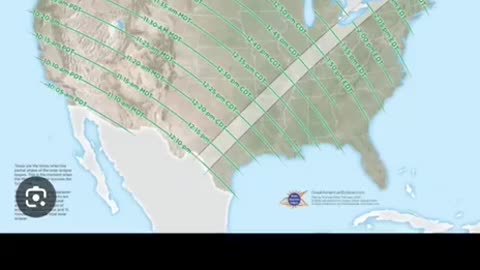 Cicadas & The Eclipse