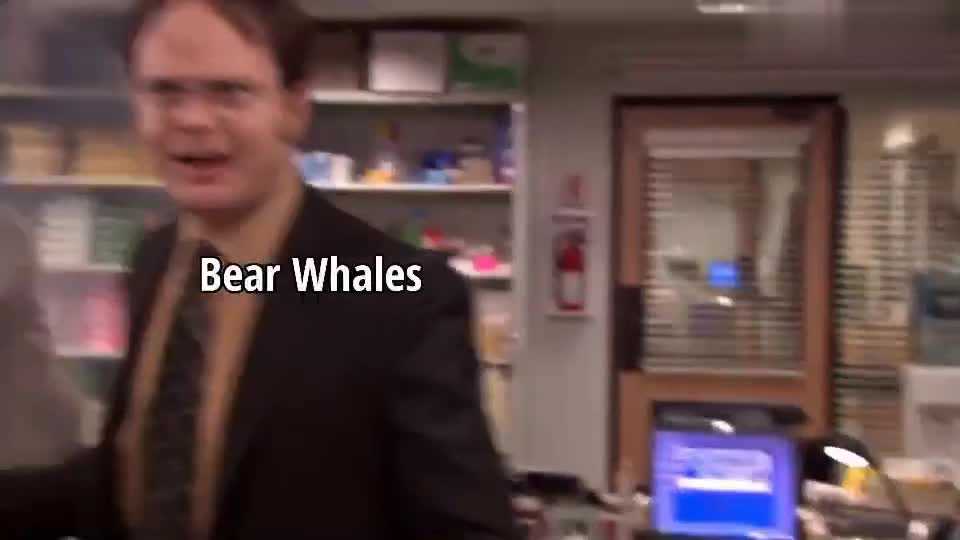 BITCOIN BEAR WHALE CREATE PANIC SETUATION